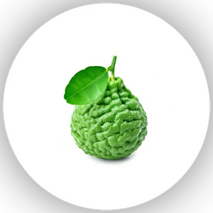 Bergamot